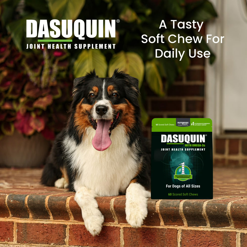 Nutramax Dasuquin with Omega-3s for Dogs of All Sizes, Joint Health Supplement, Soft Chews, 60 Count