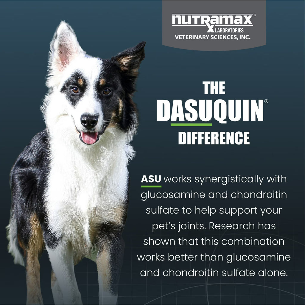 Nutramax Dasuquin with Omega-3s for Dogs of All Sizes, Joint Health Supplement, Soft Chews, 60 Count